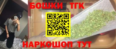 spice Новодвинск