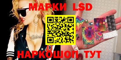 spice Новодвинск