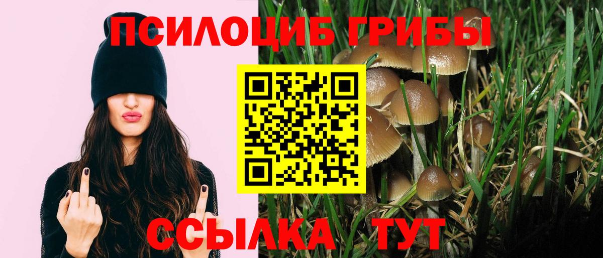 Псилоцибиновые грибы GOLDEN TEACHER  Вход с VPN  Узловая 
