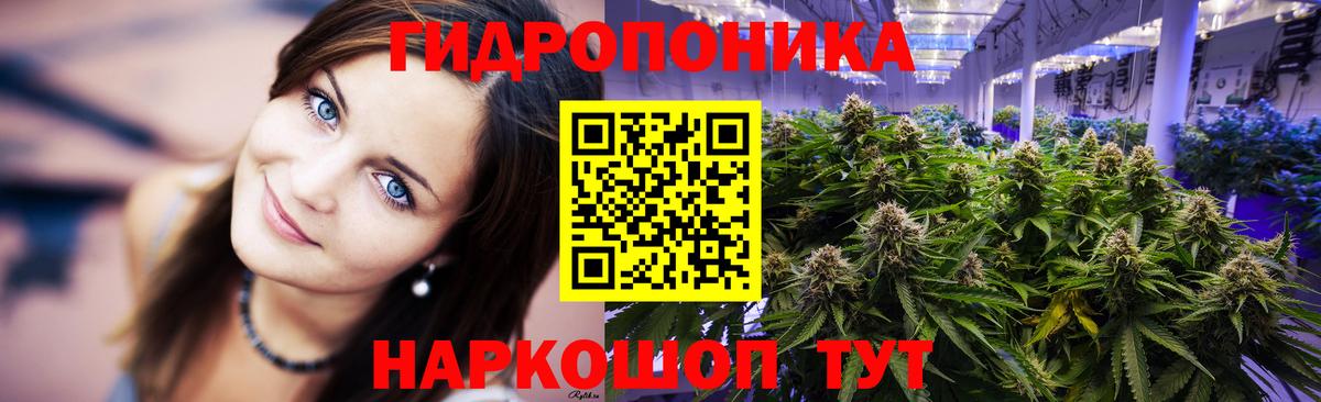 Каннабис индика Узловая